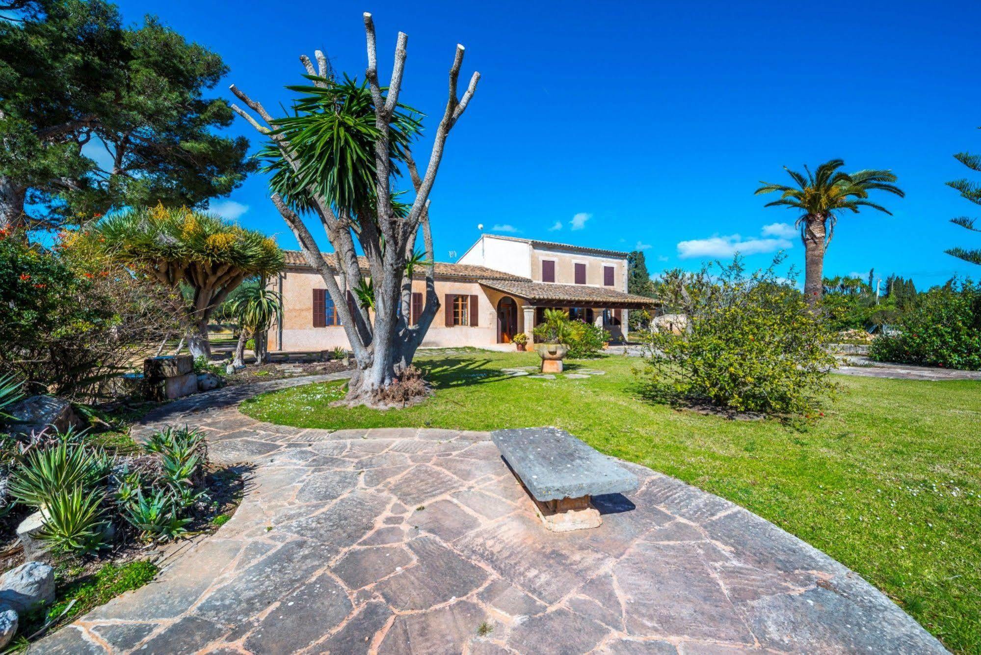 Villa Can Cirerol Puerto Colom Dış mekan fotoğraf